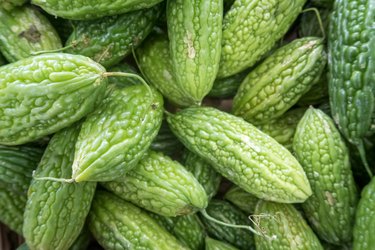 Fresh green mini bitter gourd (goya) or bitter melon
