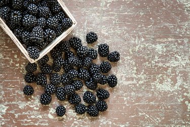 Juicy omega-3-rich blackberries in the basket