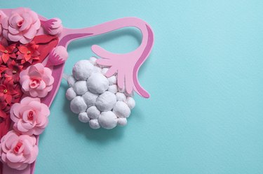a rendering of a uterus and ovaries with ovarian cysts on a light blue background, as a PCOS concept image
